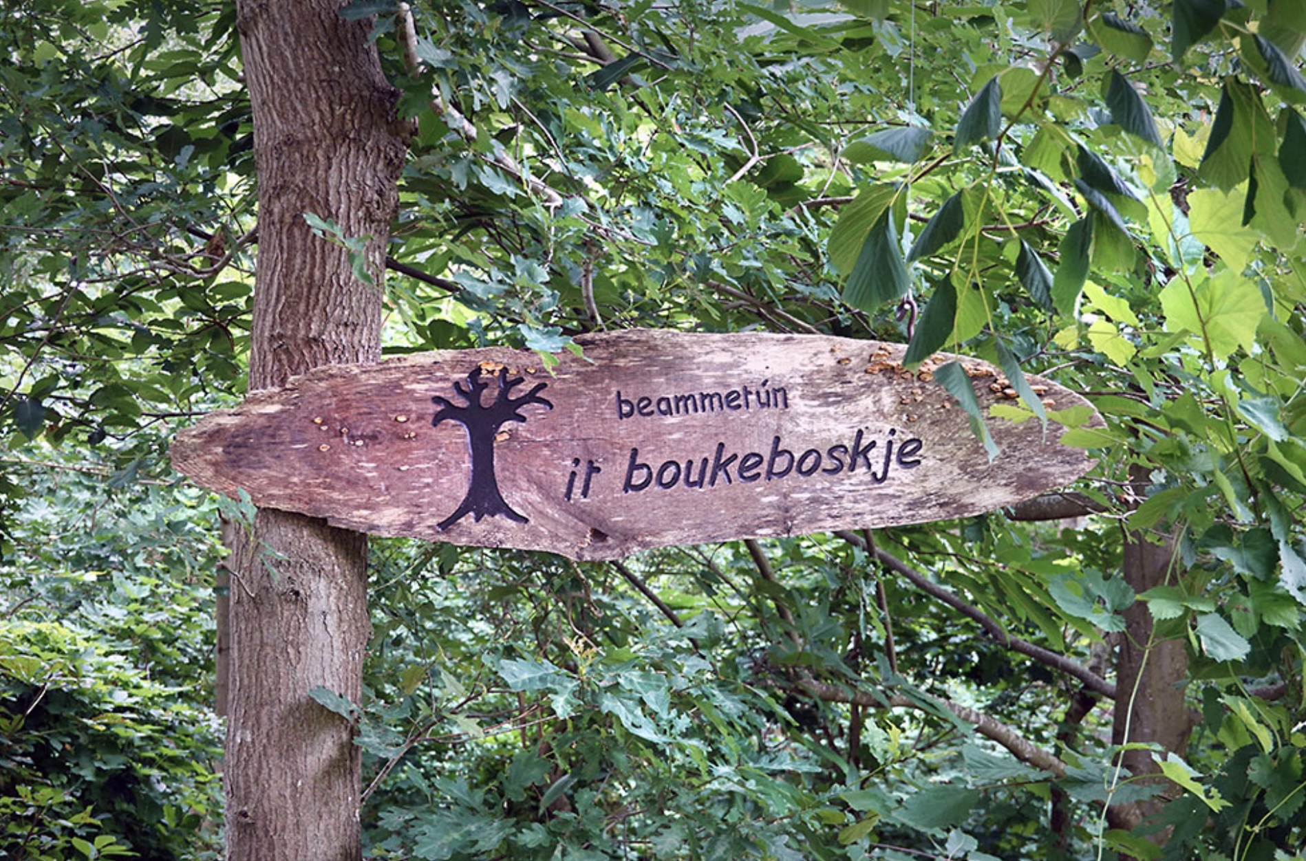 Het Boukeboskje in Wijckel