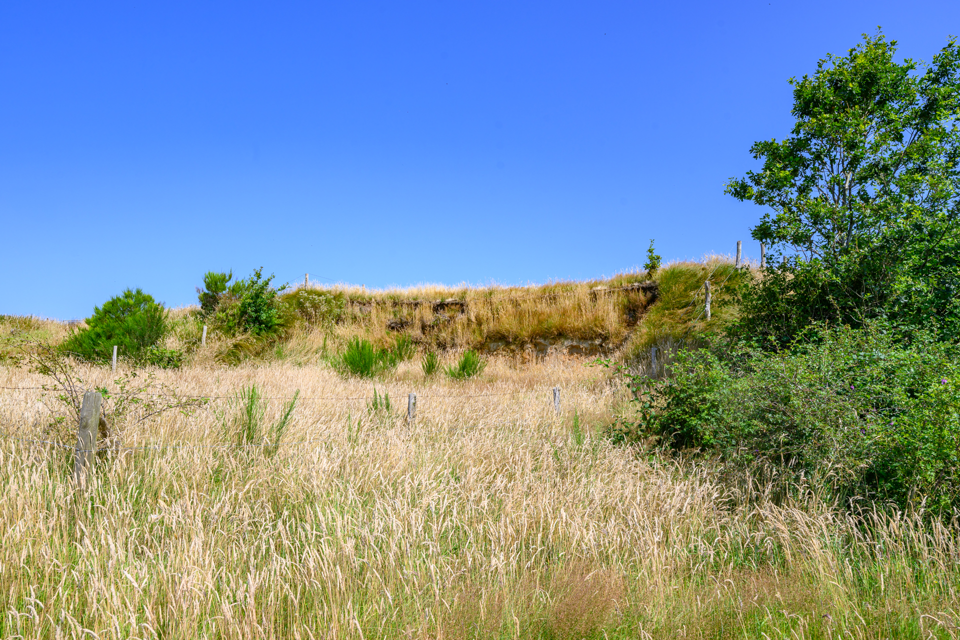 OudeMirdemerklif 9240720