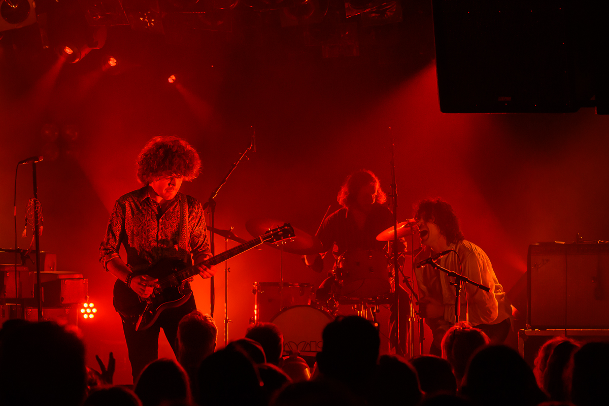 The Doors Tribute band in het Bolwerk