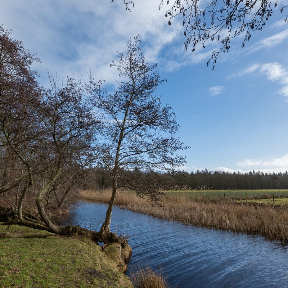 Wyldemerk Winter 2026 9