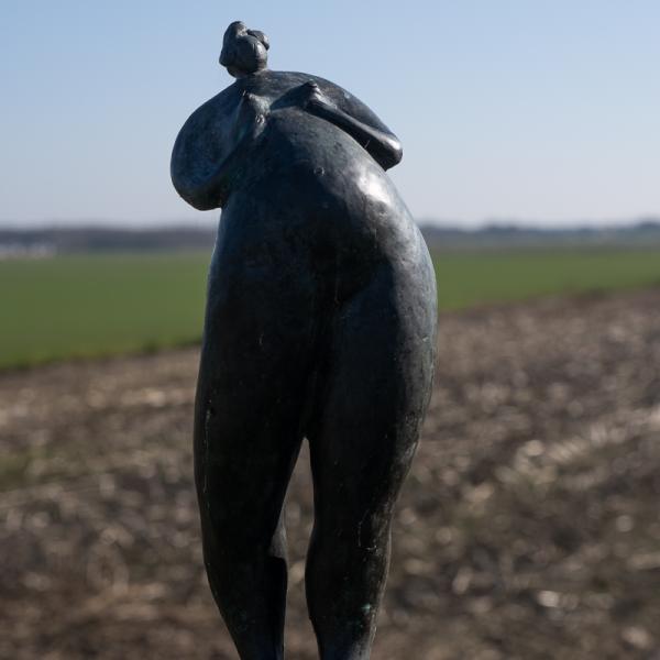 Famkes Fan Kolderwolde 11 W