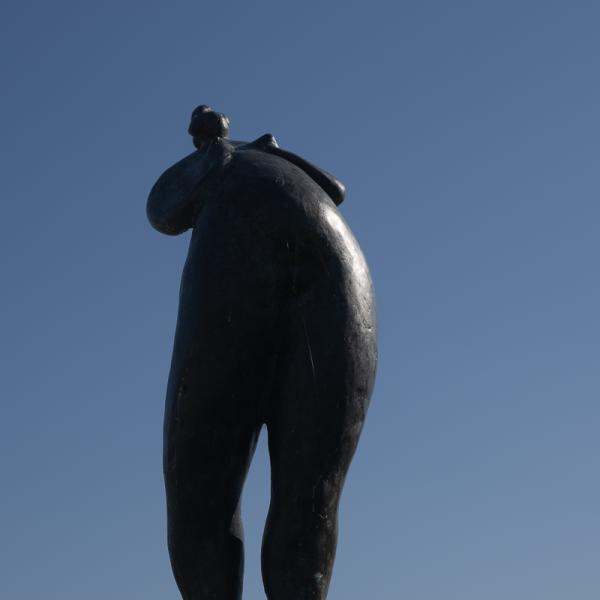 Famkes Fan Kolderwolde 12