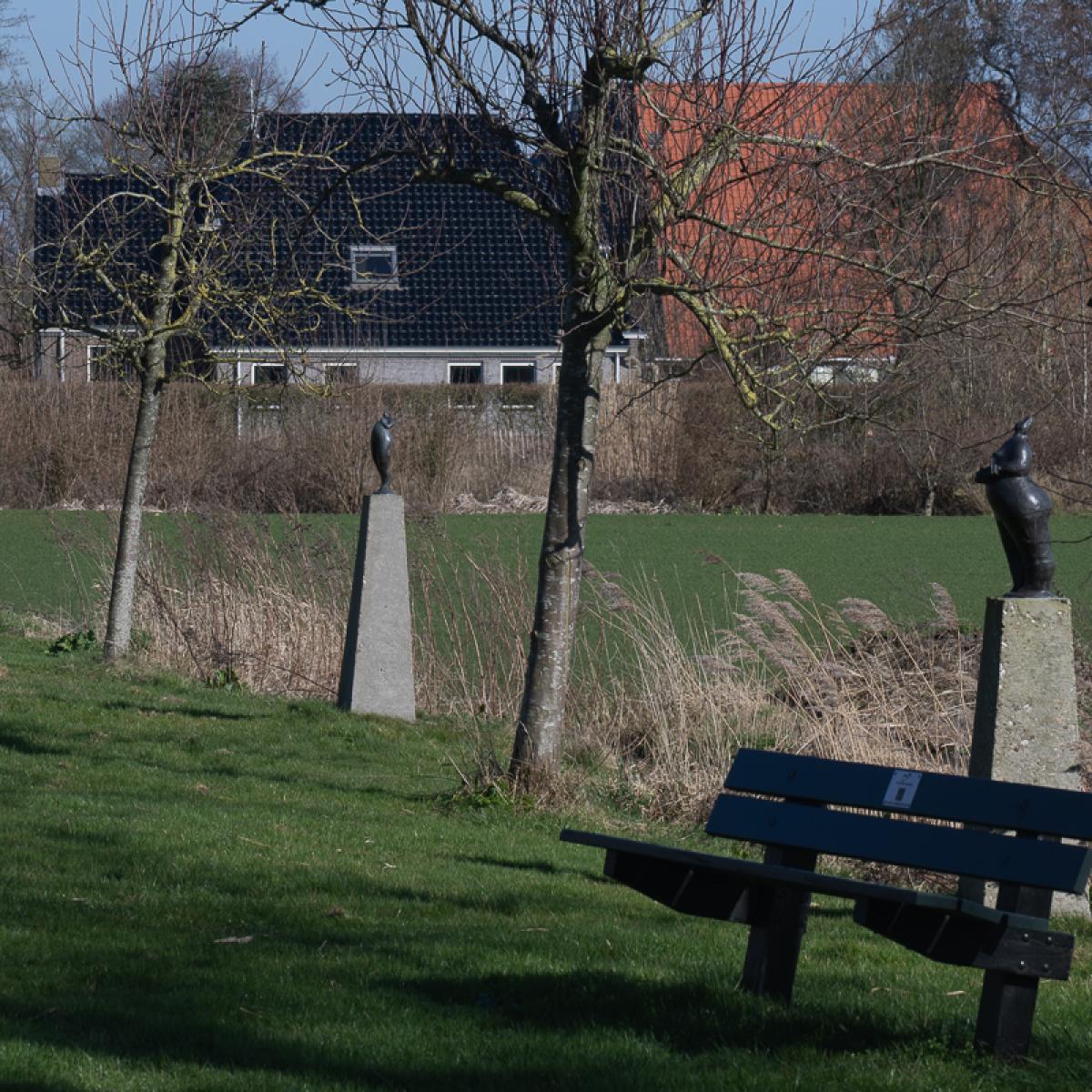 Famkes Fan Kolderwolde 18 W