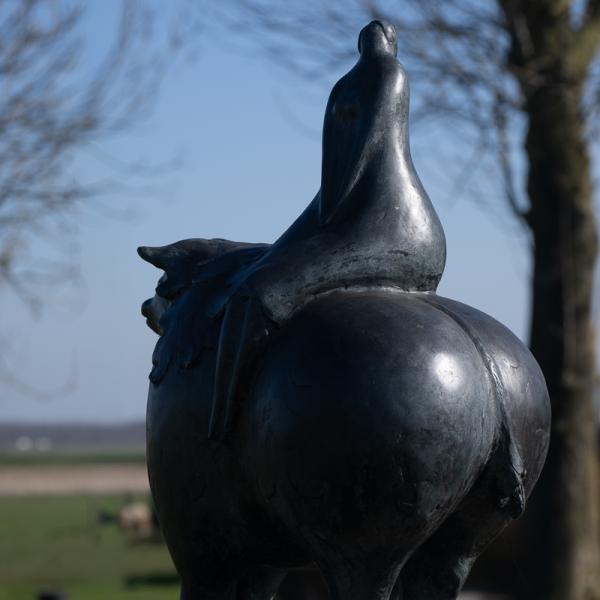 Famkes Fan Kolderwolde 36