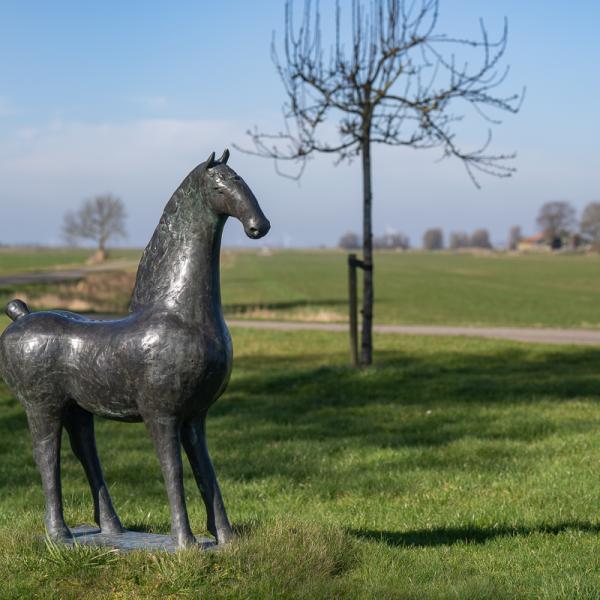 Famkes Fan Kolderwolde W